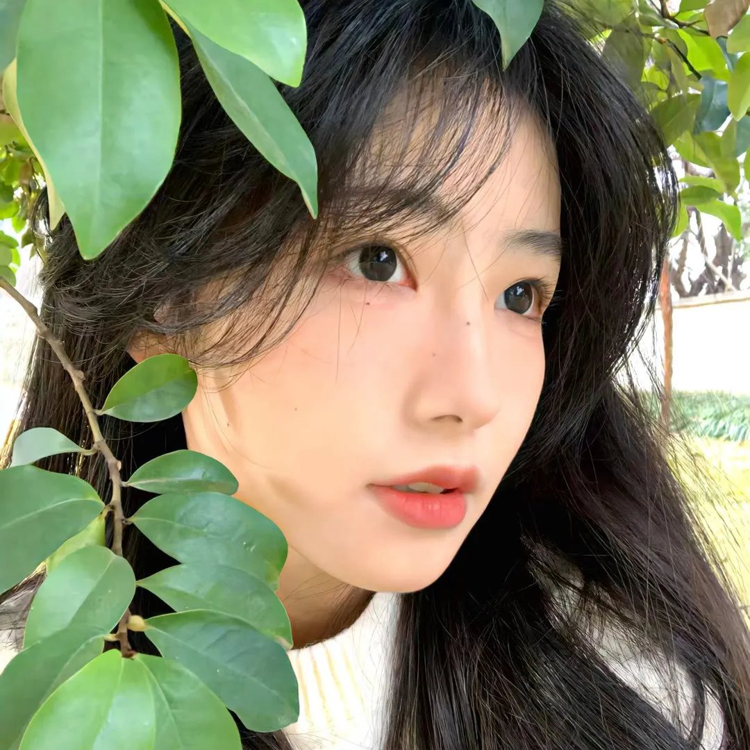 山花烂漫时1992
